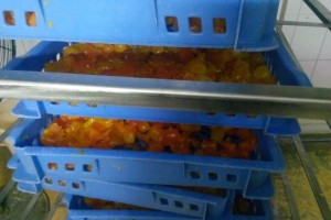 蛋黄烘干存放高温烘干机CGF20/SN项目