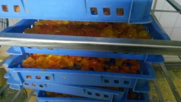蛋黄烘干存放高温烘干机CGF20/SN项目