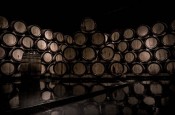 酒窖中的除湿为优质葡萄酒提供保障