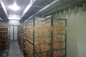 肉类烘干解决方案与案例